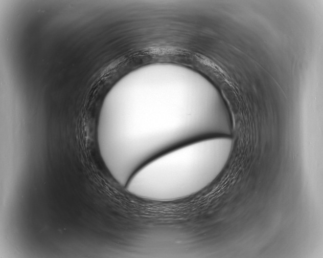 X0000098230966200804241158