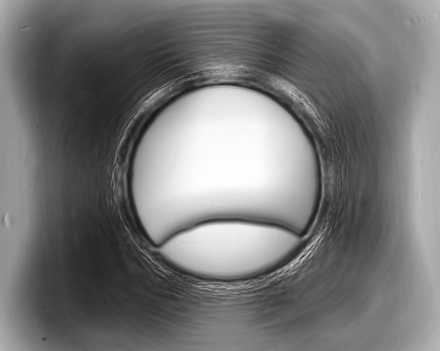 X0000098230970200804241158