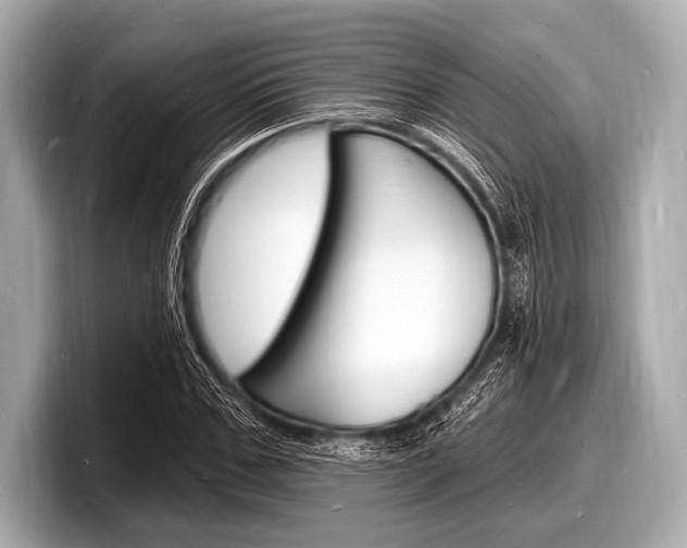 X0000098230971200804241158