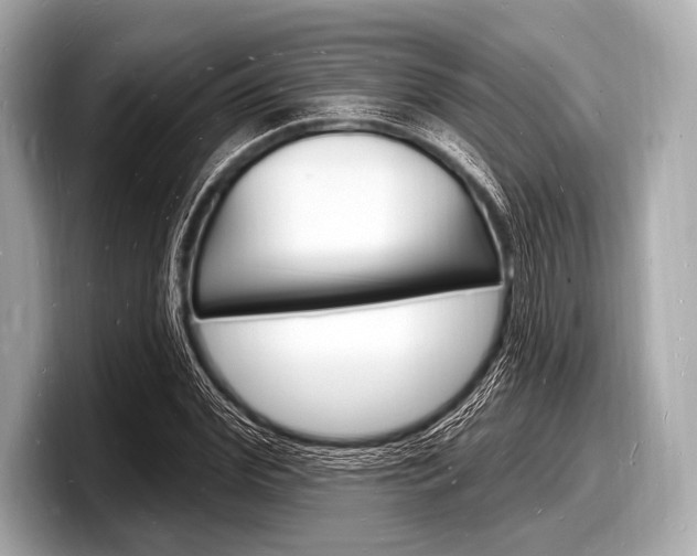 X0000098230972200804241158