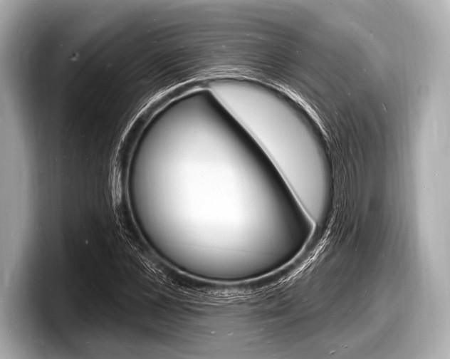 X0000098230973200804241158