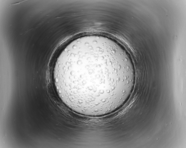 X0000098230974200804241158