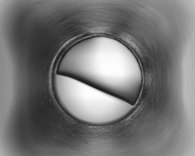 X0000098230976200804241158