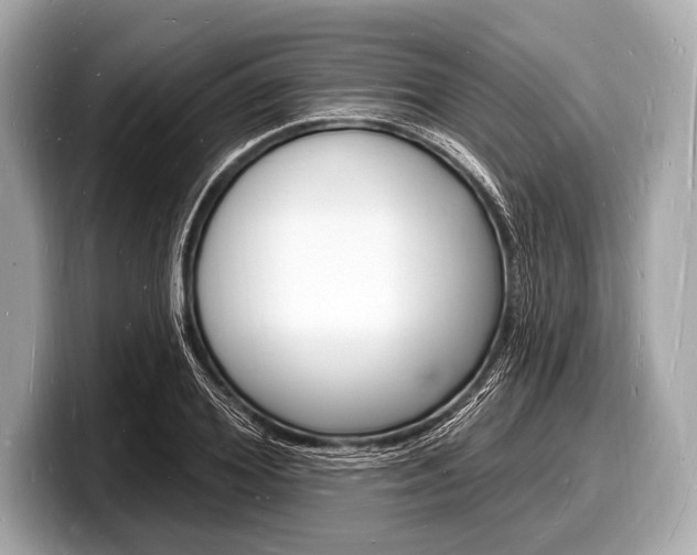 X0000098230980200804241158