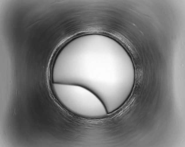 X0000098230982200804241158