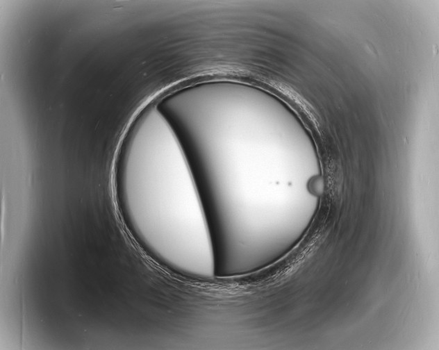 X0000098230983200804241158