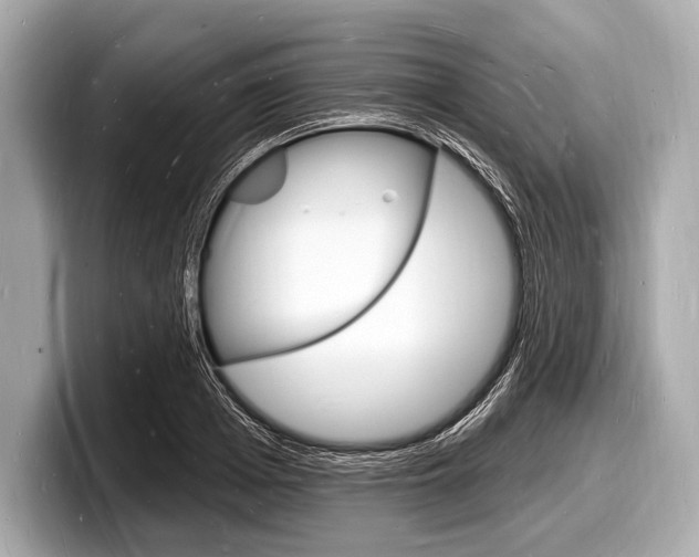 X0000098230985200804241158