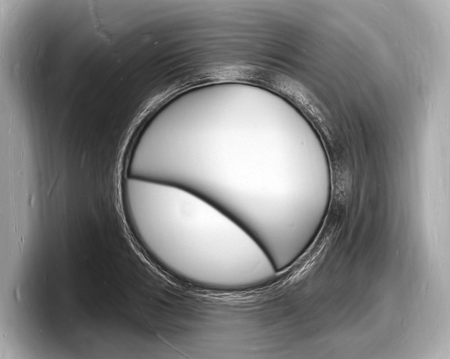 X0000098230986200804241158