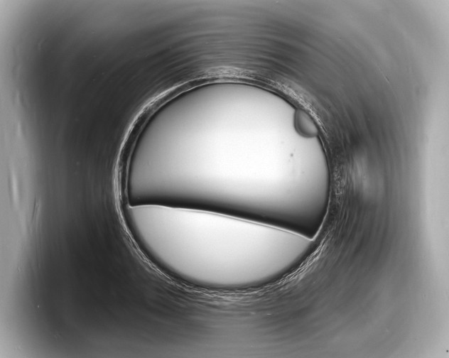 X0000098230987200804241158