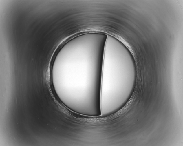 X0000098230988200804241158