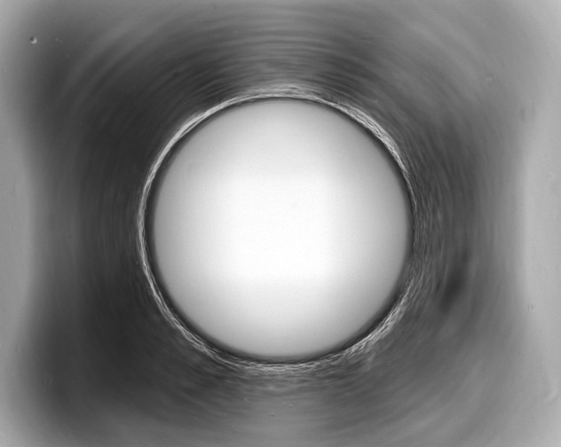 X0000098230989200804241157