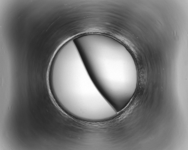 X0000098230991200804241157