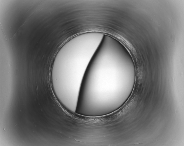 X0000098230993200804241157