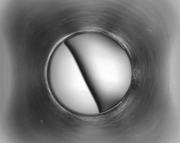 X0000098230995200804241157
