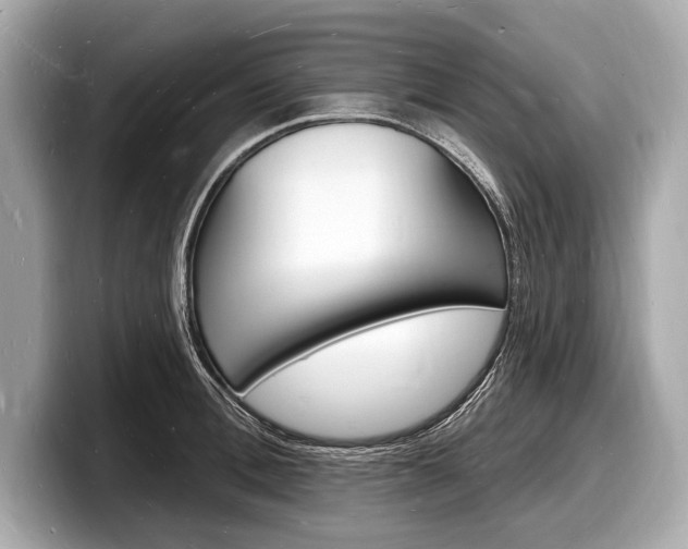 X0000098230996200804241157