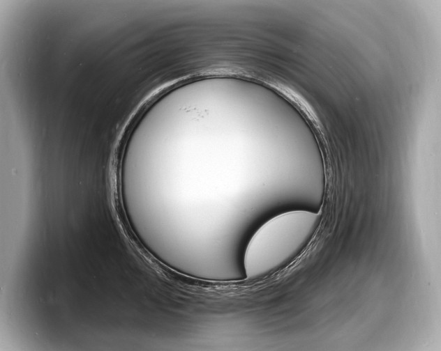 X0000098231000200804241157