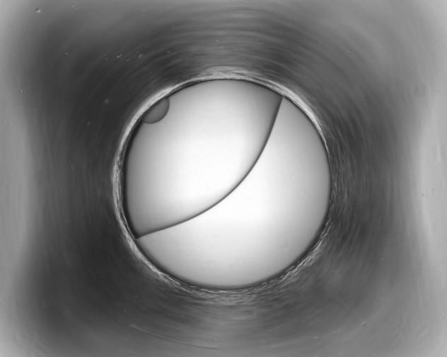 X0000098231003200804241157
