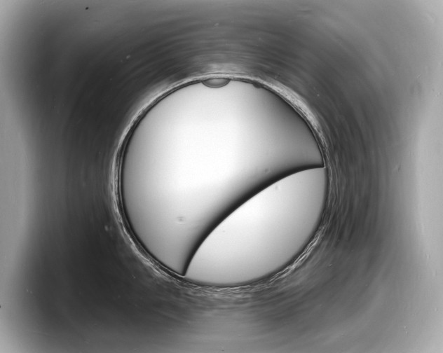 X0000098231006200804241157