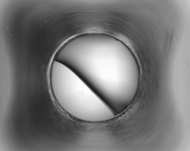X0000098231008200804241157
