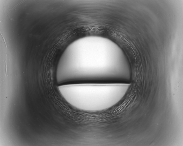 X0000098231010200804241157