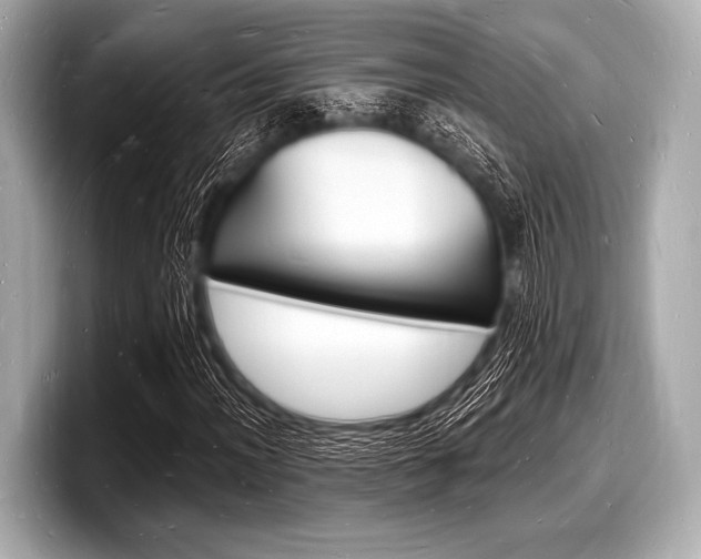 X0000098231012200804241157