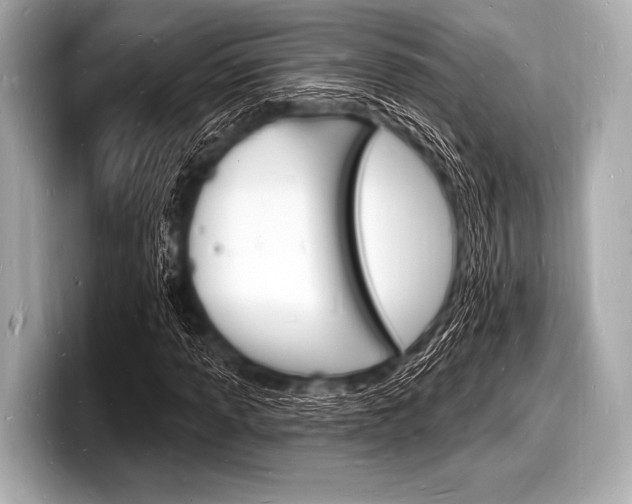 X0000098231013200804241157