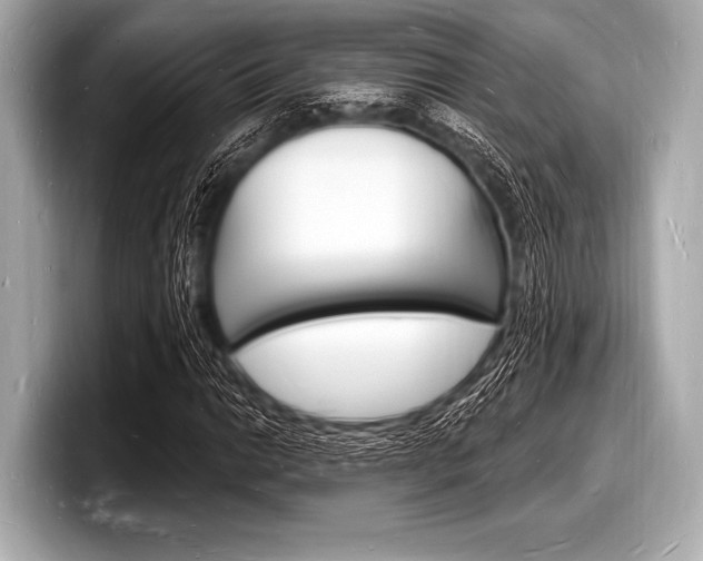 X0000098231014200804241157