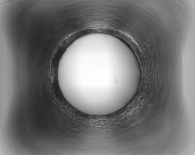X0000098231016200804241157