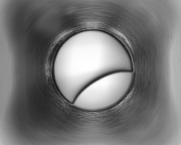 X0000098231019200804241157