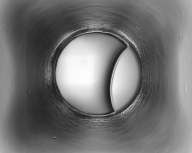 X0000098231021200804241157