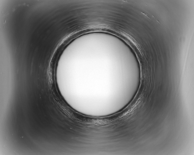 X0000098231022200804241157