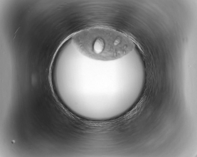 X0000098231024200804241157