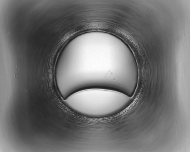 X0000098231025200804241157