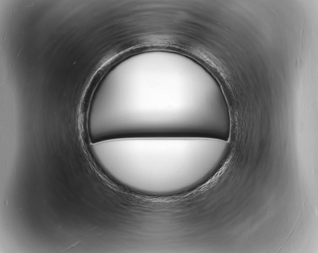 X0000098231029200804241157
