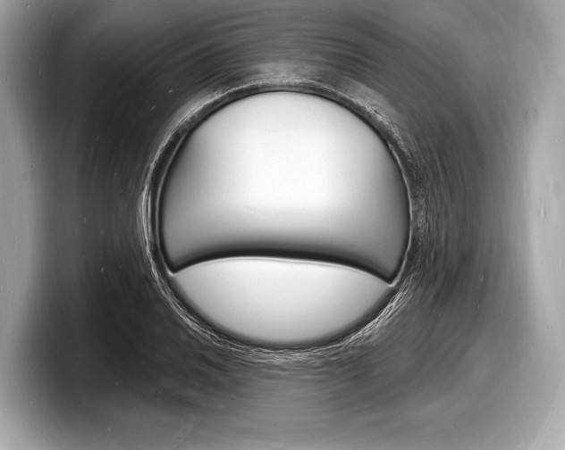 X0000098231030200804241157