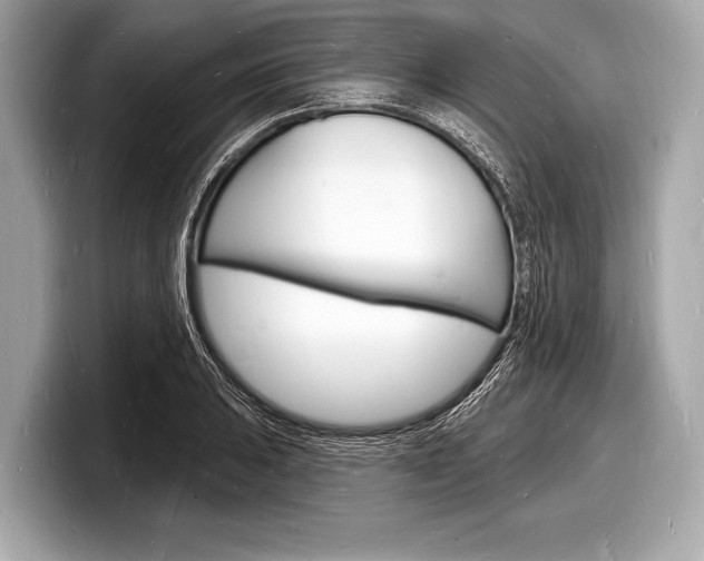 X0000098231031200804241157