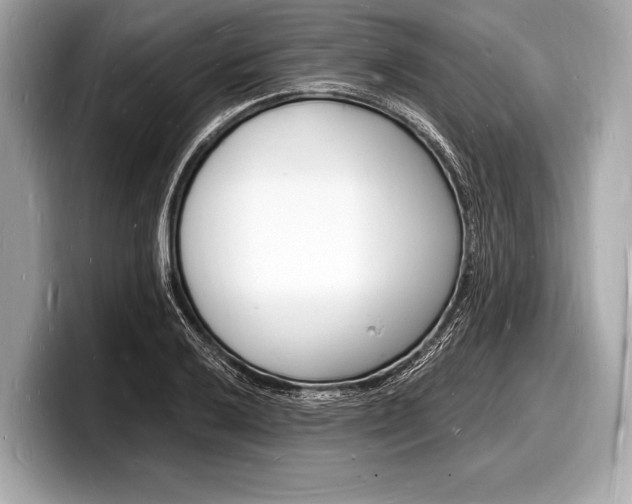 X0000098231032200804241157