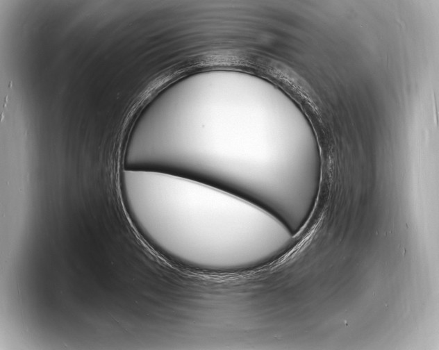 X0000098231033200804241157