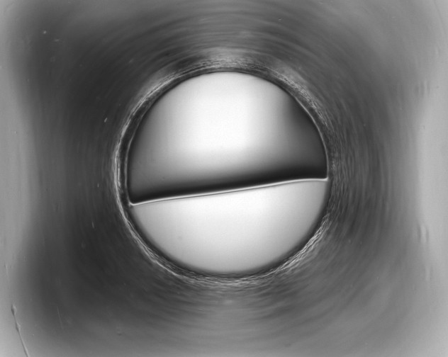 X0000098231034200804241157