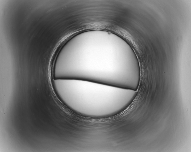 X0000098231035200804241157