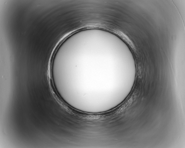 X0000098231036200804241157