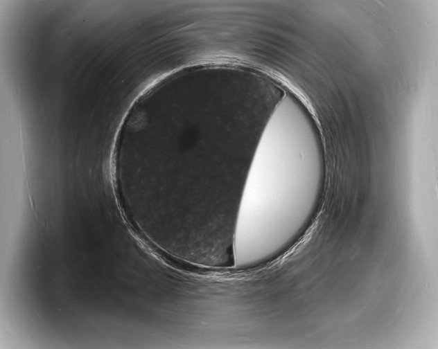 X0000098231037200804241157