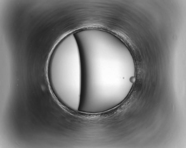 X0000098231038200804241157