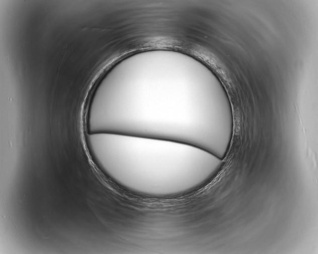 X0000098231039200804241157