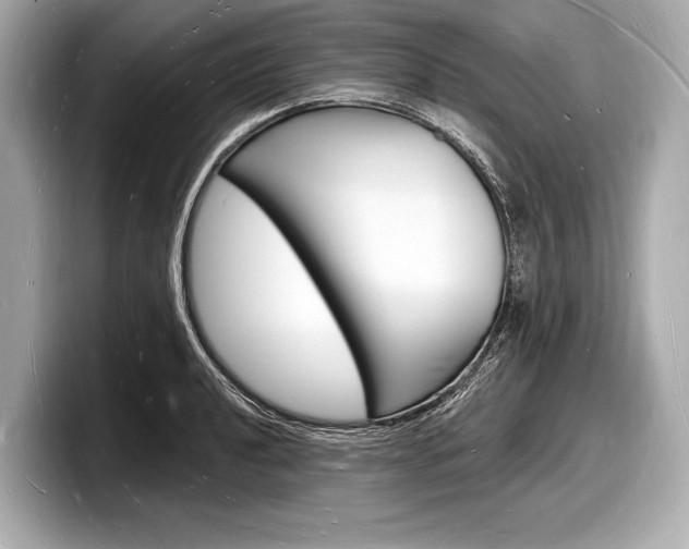 X0000098231040200804241157