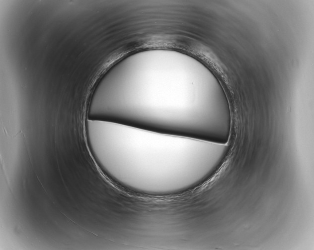 X0000098231041200804241157