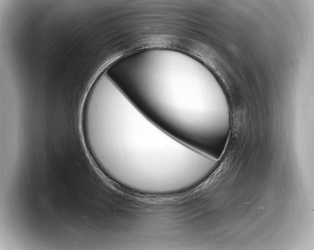 X0000098231042200804241157