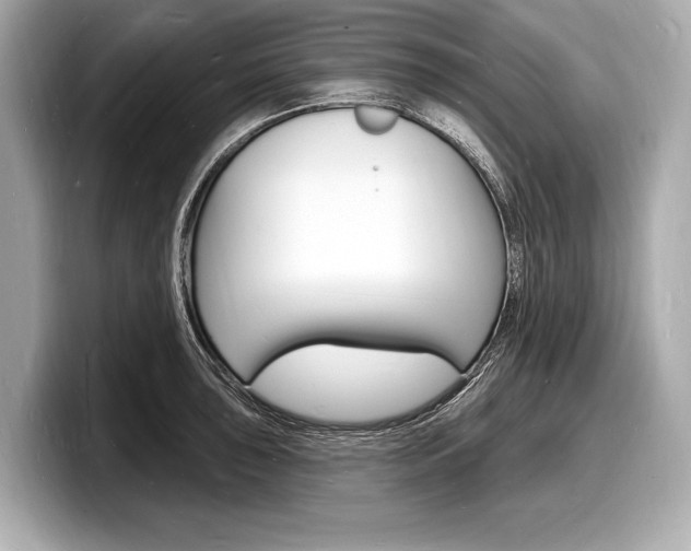 X0000098231043200804241157