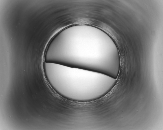 X0000098231044200804241157