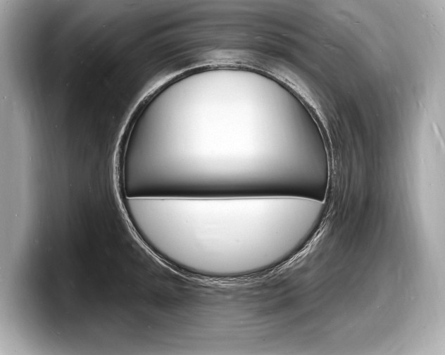 X0000098231045200804241157